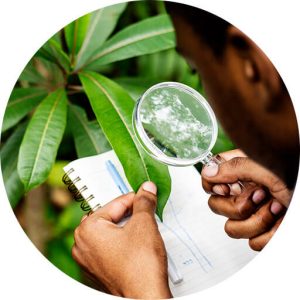Agriculture and Environmental Sciences